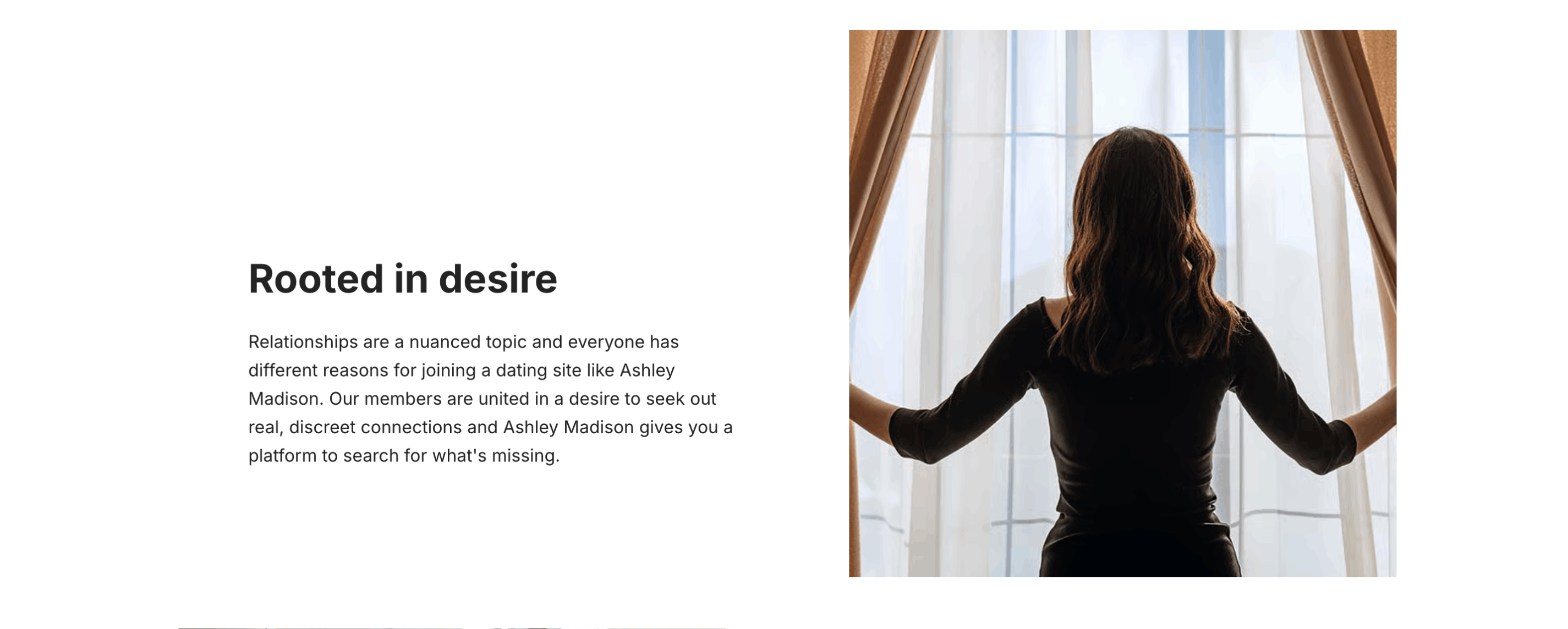 ashley madison login